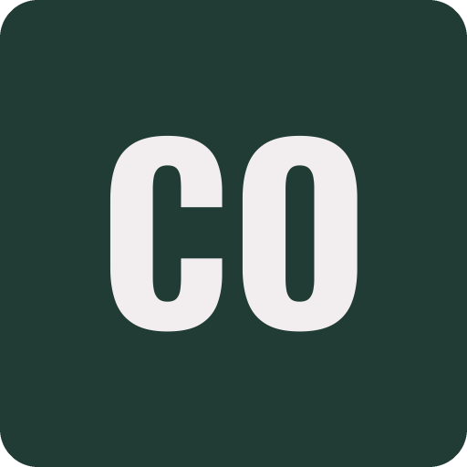 Calle Ocho Shoes logo
